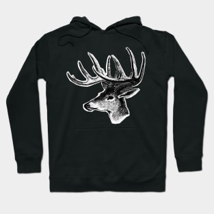 Deer head. Horned deer Hoodie